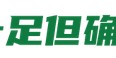 法比奥伤退打乱双中锋计划：国安输在意外，更输在实力|北京国安|蓉城|张玉宁|成都|韦世豪_新浪新闻